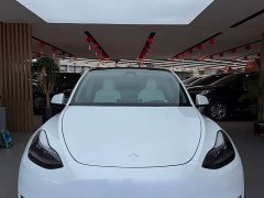 Tesla Model Y 2022 Performance All-Wheel Drive - ფოტო 3