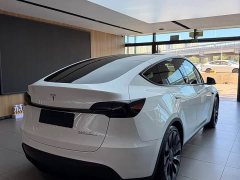 Tesla Model Y 2022 Performance All-Wheel Drive - ფოტო 6