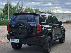 Tank 400 New Energy 2024 Hi4-T Off-Road Edition - ფოტო 14