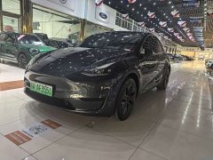 Tesla Model Y Rear-Wheel Drive - ფოტო 1