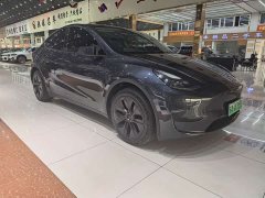 Tesla Model Y Rear-Wheel Drive - ფოტო 3