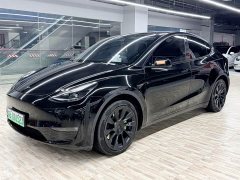 Tesla Model Y Standard Range RWD - ფოტო 1