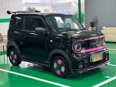 Geely Panda 210km Panda Kart - ფოტო 3
