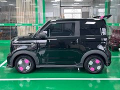 Geely Panda 210km Panda Kart - ფოტო 9