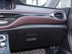 GAC Aion M6 2021 PRO 270T Automatic Luxury - ფოტო 19