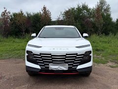 Jetour Jietu Dasheng 1.5T DCT Starlight PRO - ფოტო 2