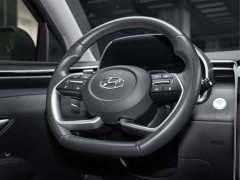 Hyundai Tucson L 1.5T Automatic Two-Wheel Drive DLX Luxury - ფოტო 17