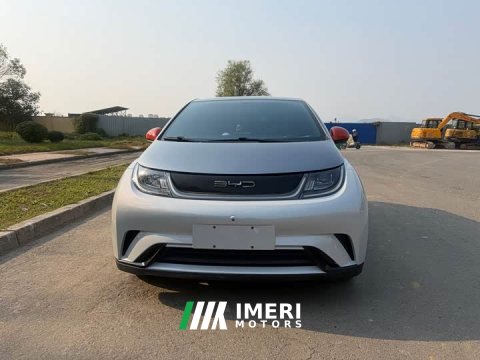 2022 BYD Dolphin 405km Fashion Edition - ავტომობილი ჩინეთიდან