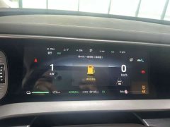 Denza BYD Denza D9 DM-i 1050 Premium - ფოტო 7