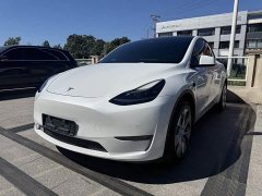 Tesla Model Y Long Range All-Wheel Drive - ფოტო 1