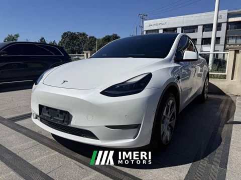 2023 Tesla Model Y Long Range All-Wheel Drive - ავტომობილი ჩინეთიდან