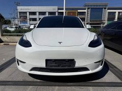 Tesla Model Y Long Range All-Wheel Drive - ფოტო 2