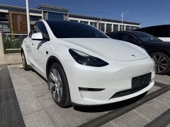 Tesla Model Y Long Range All-Wheel Drive - ფოტო 3