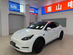 Tesla Model Y Long Range All-Wheel Drive - ფოტო 1