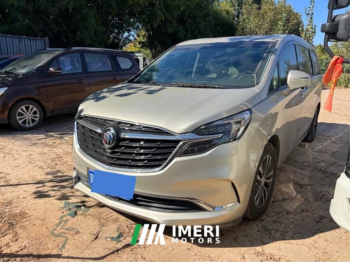 Buick GL8 ES Luxe 653T Comfort