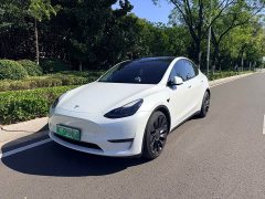 Tesla Model Y Performance All-Wheel Drive - ფოტო 1