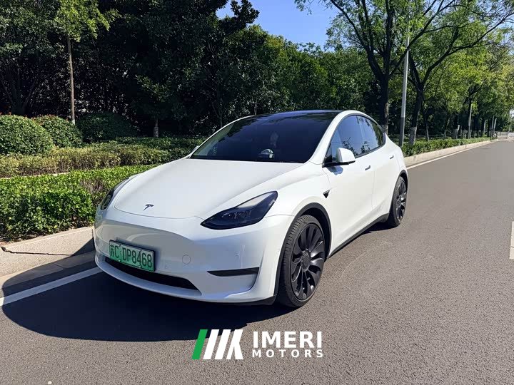 Tesla Model Y Performance All-Wheel Drive