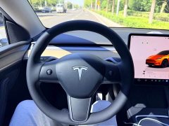 Tesla Model Y Performance All-Wheel Drive - ფოტო 10