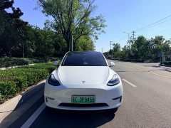 Tesla Model Y Performance All-Wheel Drive - ფოტო 2