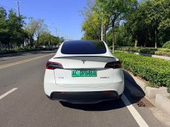 Tesla Model Y Performance All-Wheel Drive - ფოტო 4