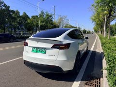 Tesla Model Y Performance All-Wheel Drive - ფოტო 5