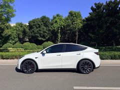 Tesla Model Y Performance All-Wheel Drive - ფოტო 6