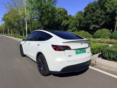 Tesla Model Y Performance All-Wheel Drive - ფოტო 7