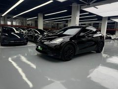Tesla Model Y Rear-Wheel Drive - ფოტო 1