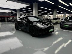 Tesla Model Y Rear-Wheel Drive - ფოტო 3