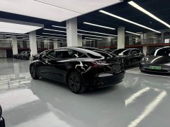 Tesla Model 3 Rear-Wheel Drive - ფოტო 13