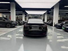 Tesla Model 3 Rear-Wheel Drive - ფოტო 14