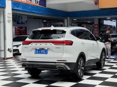 Haval H6 National Trend Edition 1.5T Automatic Champion Version - ფოტო 16