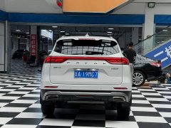 Haval H6 National Trend Edition 1.5T Automatic Champion Version - ფოტო 17