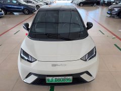 BYD Seagull Vitality Edition - ფოტო 3