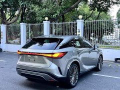 Lexus RX 2023 350h AWD Premium Edition - ფოტო 7