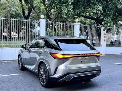 Lexus RX 2023 350h AWD Premium Edition - ფოტო 9