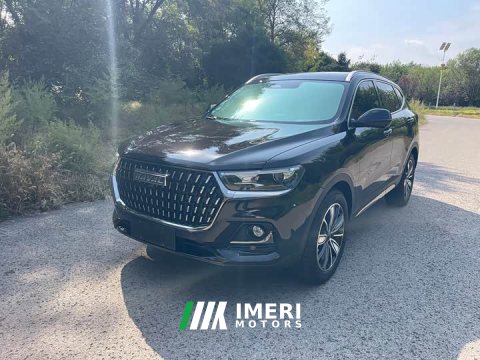 2024 Haval H6 2023 National Trend Edition 1.5T Automatic Champion Version - ავტომობილი ჩინეთიდან