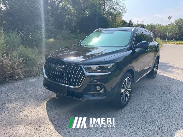 Haval H6 National Trend Edition 1.5T Automatic Champion Version