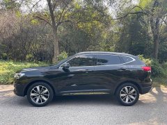 Haval H6 2023 National Trend Edition 1.5T Automatic Champion Version - ფოტო 13