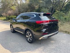 Haval H6 2023 National Trend Edition 1.5T Automatic Champion Version - ფოტო 16
