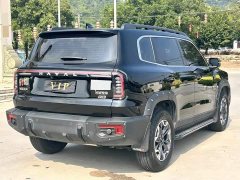 Great Wall Haval Big Dog Dachshund 2.0T DCT Chinese Rural Dog Edition - ფოტო 4