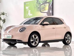 ORA Good Cat 400km Standard Range Luxury Lithium Iron Phosphate - ფოტო 1
