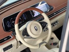 ORA Good Cat 400km Standard Range Luxury Lithium Iron Phosphate - ფოტო 10