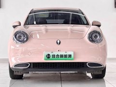 ORA Good Cat 400km Standard Range Luxury Lithium Iron Phosphate - ფოტო 2