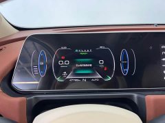 ORA Good Cat 400km Standard Range Luxury Lithium Iron Phosphate - ფოტო 9