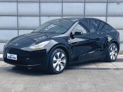 Tesla Model Y Rear-Wheel Drive - ფოტო 1