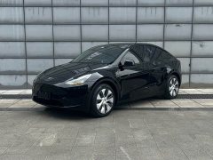 Tesla Model Y Rear-Wheel Drive - ფოტო 2