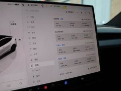 Tesla Model Y 2025 Rear-Wheel Drive Launch Edition - ფოტო 6