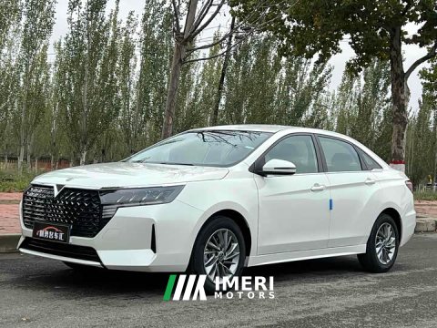 2025 Nissan Venucia D60 PLUS 1.6L XE CVT Edition - ავტომობილი ჩინეთიდან