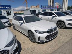 BMW 3 Series 320Li M Sport Package - ფოტო 8
